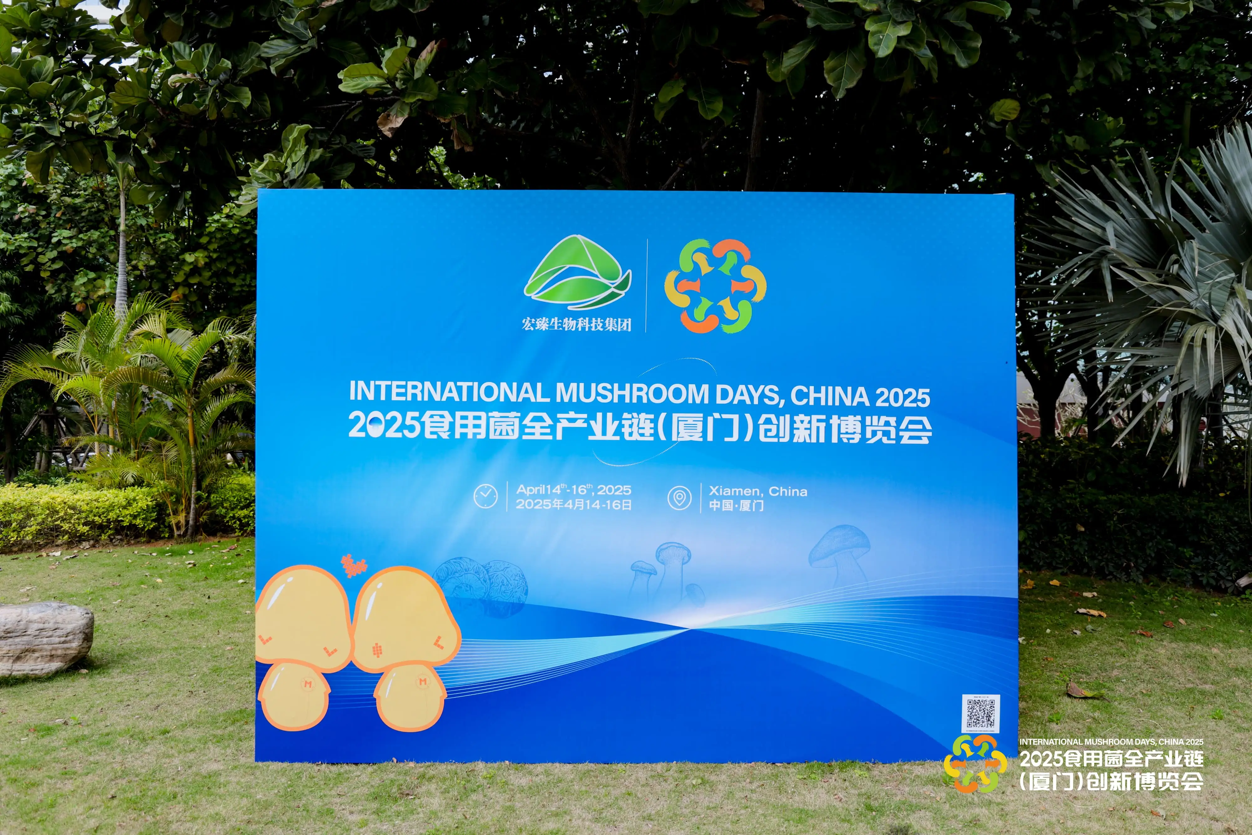 LHAO5347-min-min.webp