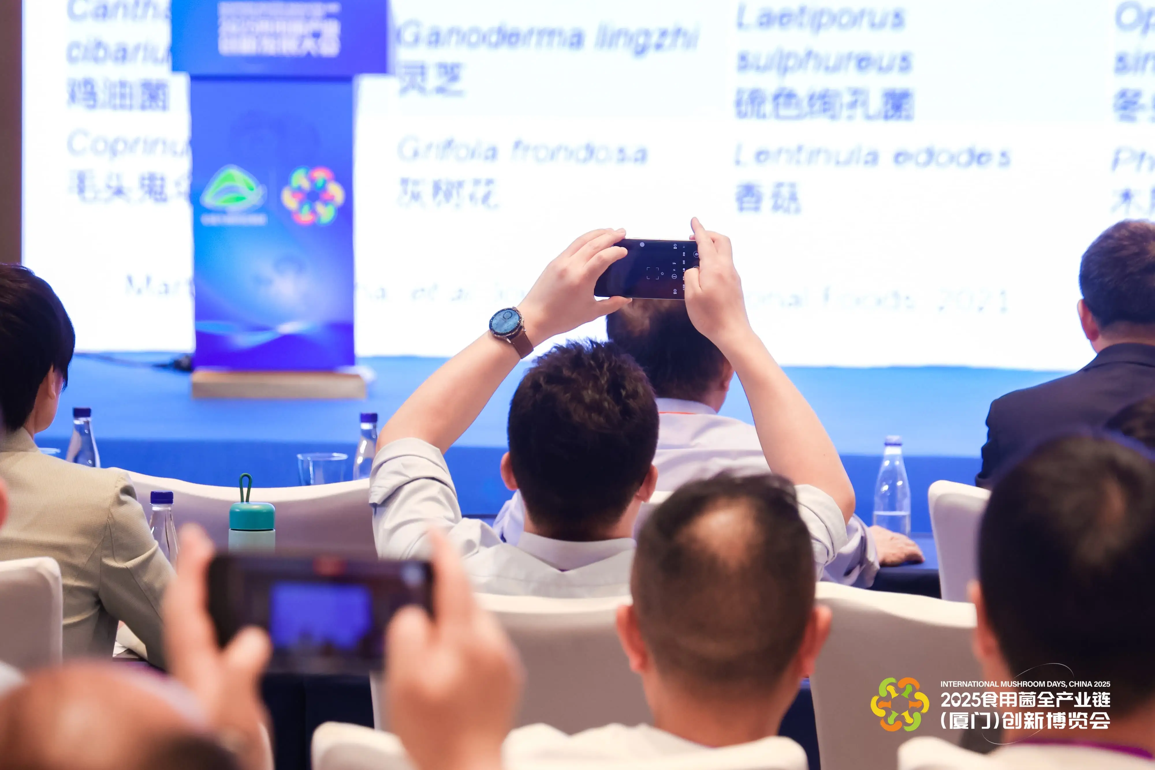 LHAO0807-min-min.webp