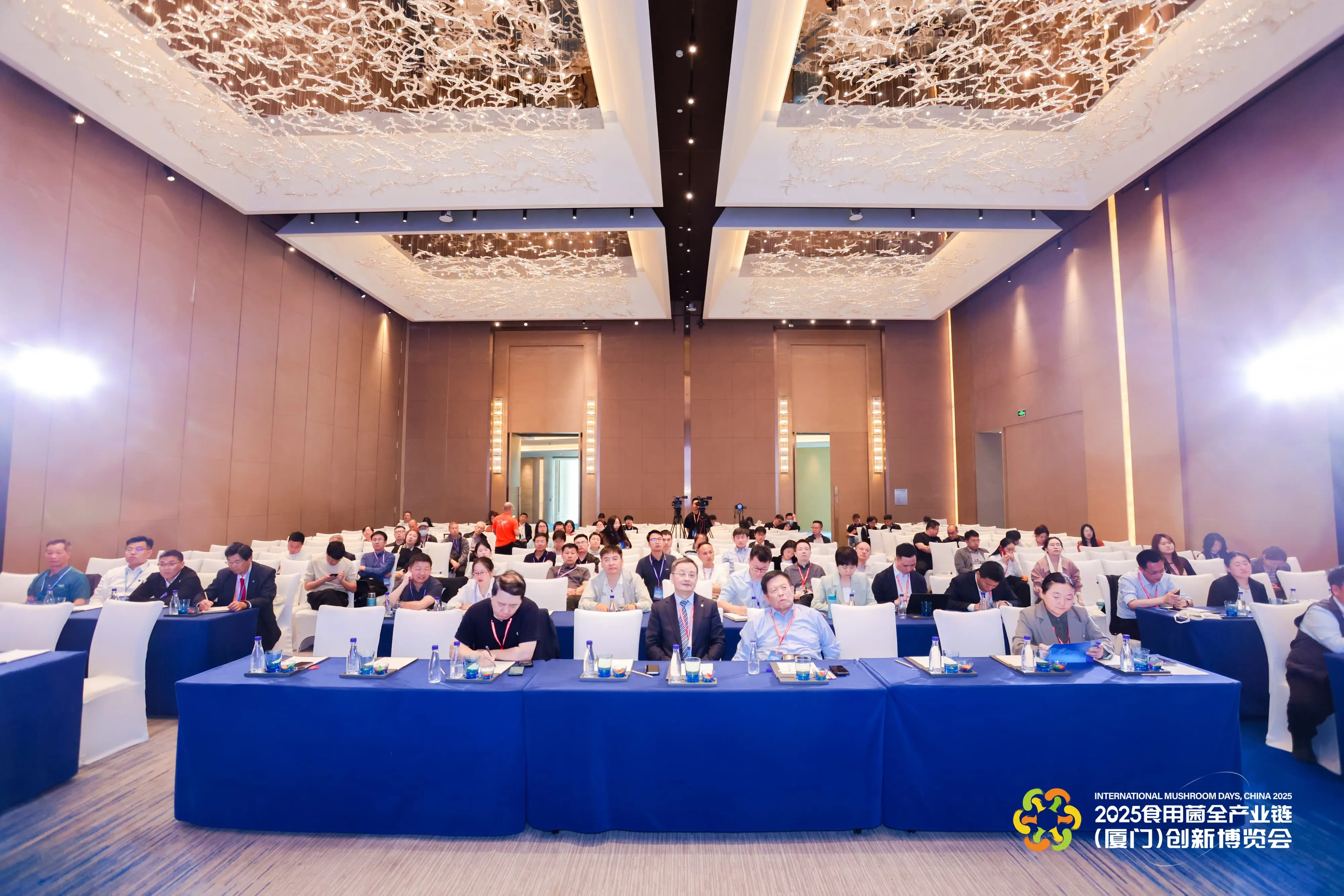 LHAO0798-min-min.webp