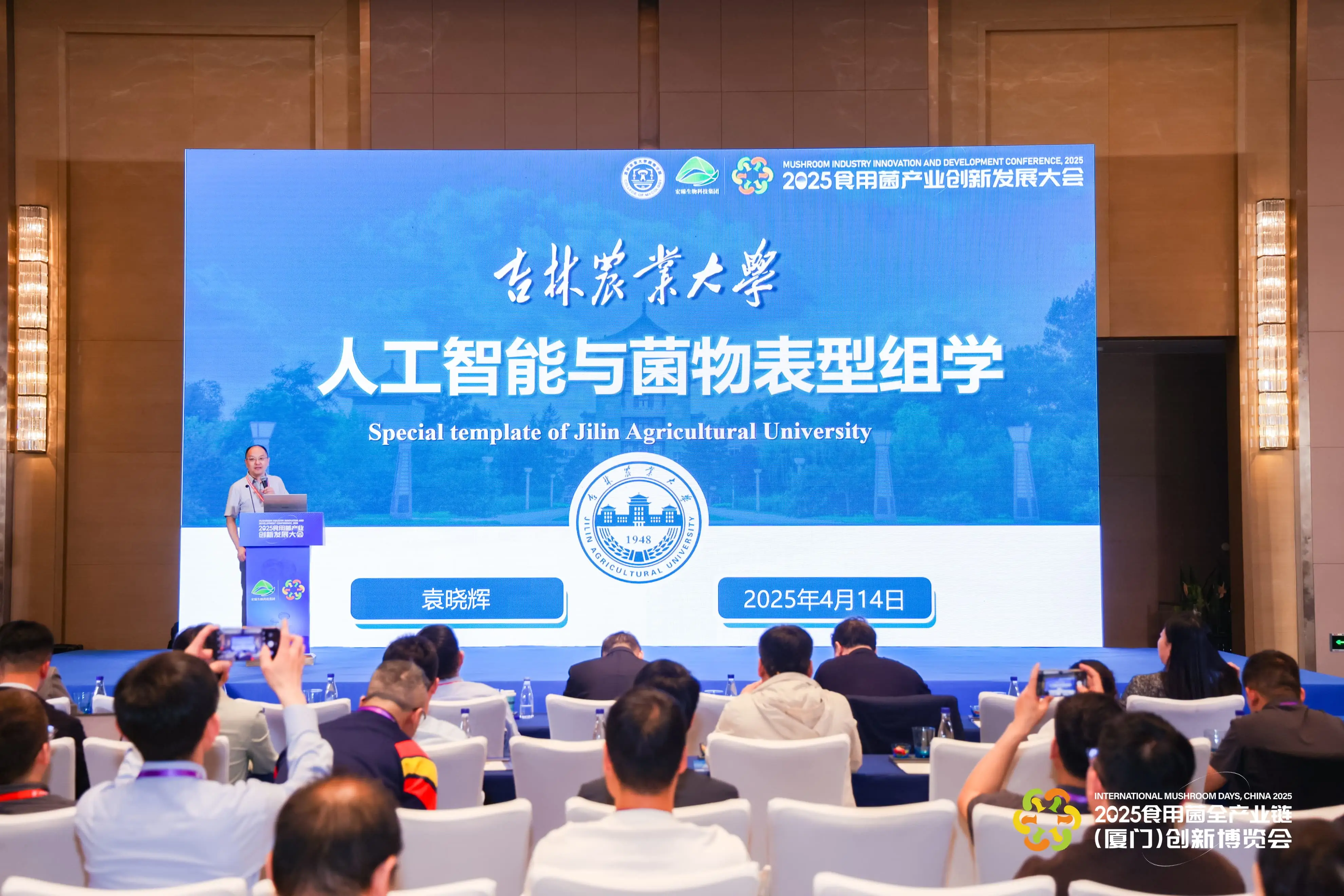 LHAO0818-min-min.webp
