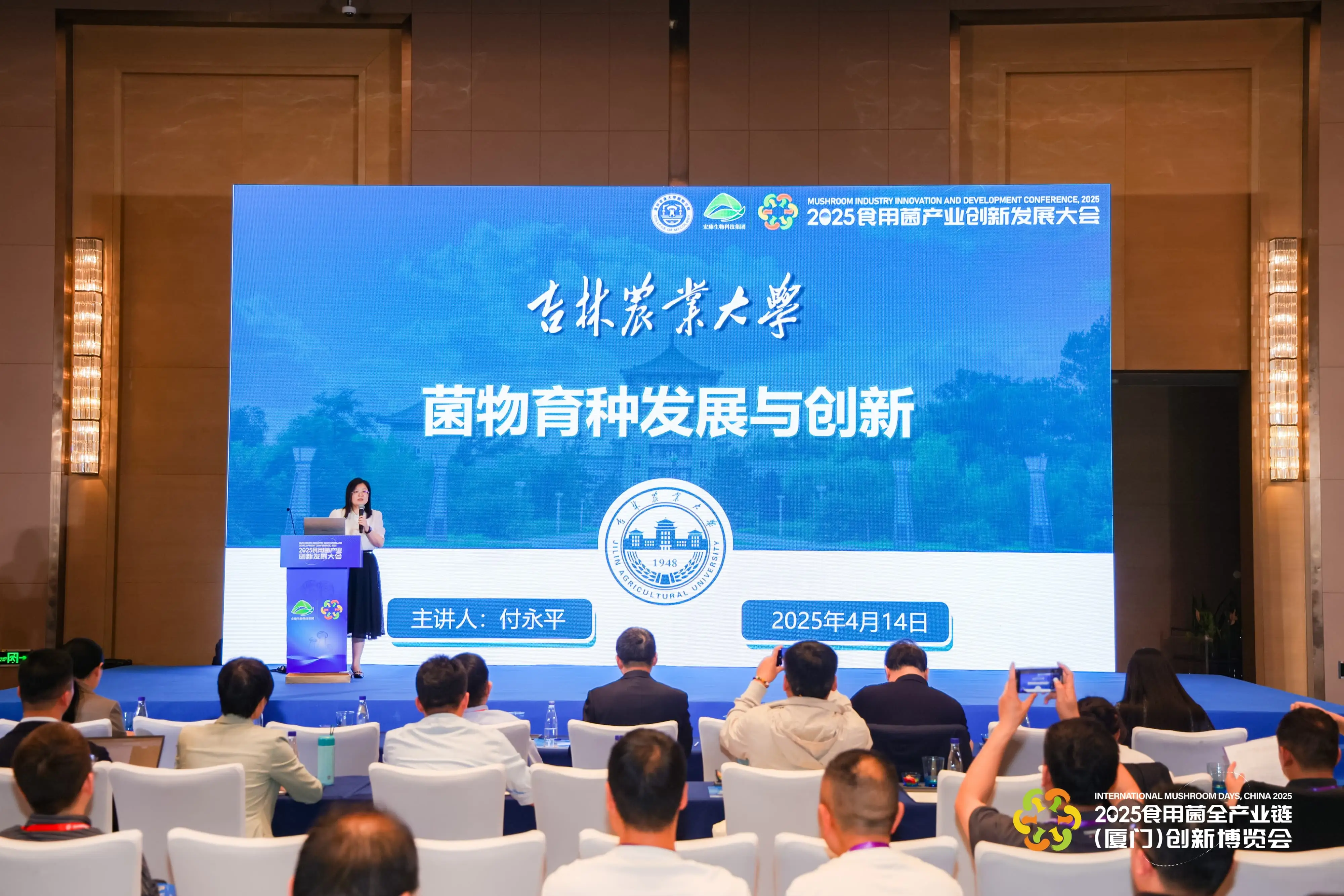 LHAO0900-min-min.webp