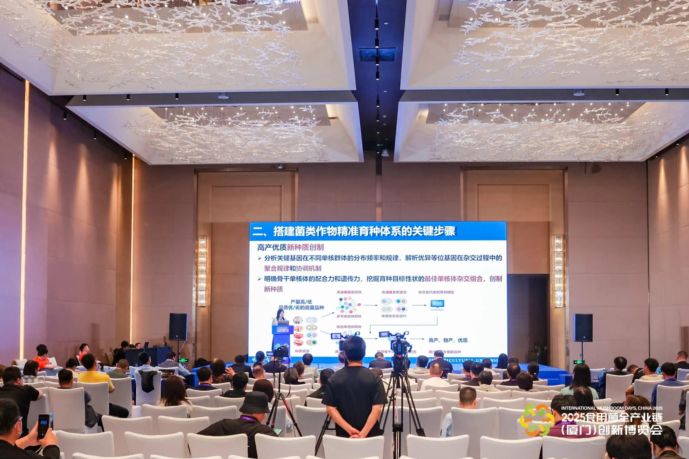 LHAO1024-min-min.webp