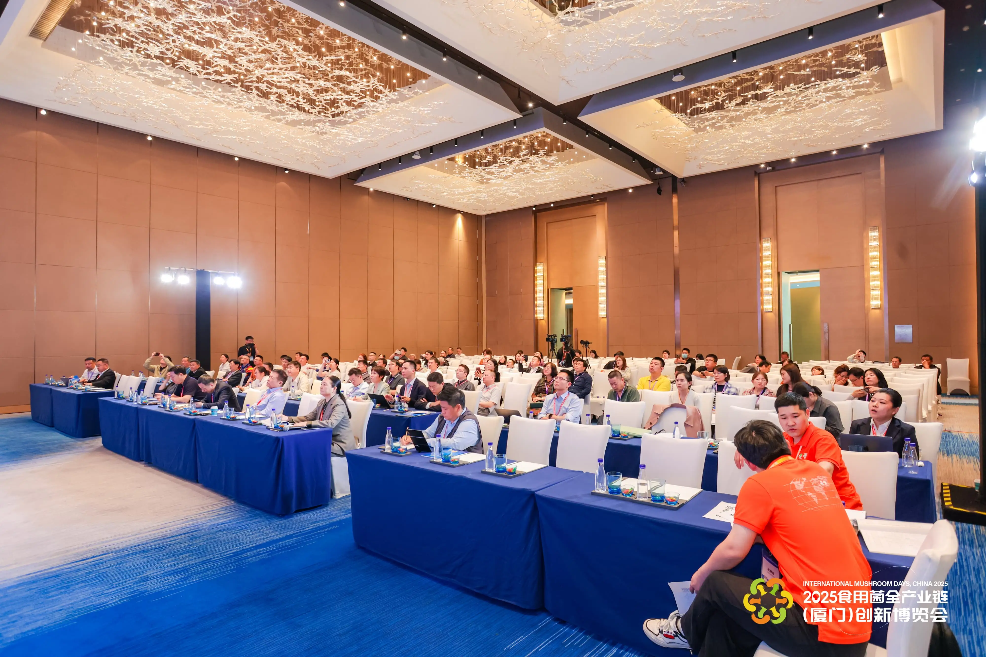 LHAO1028-min-min.webp