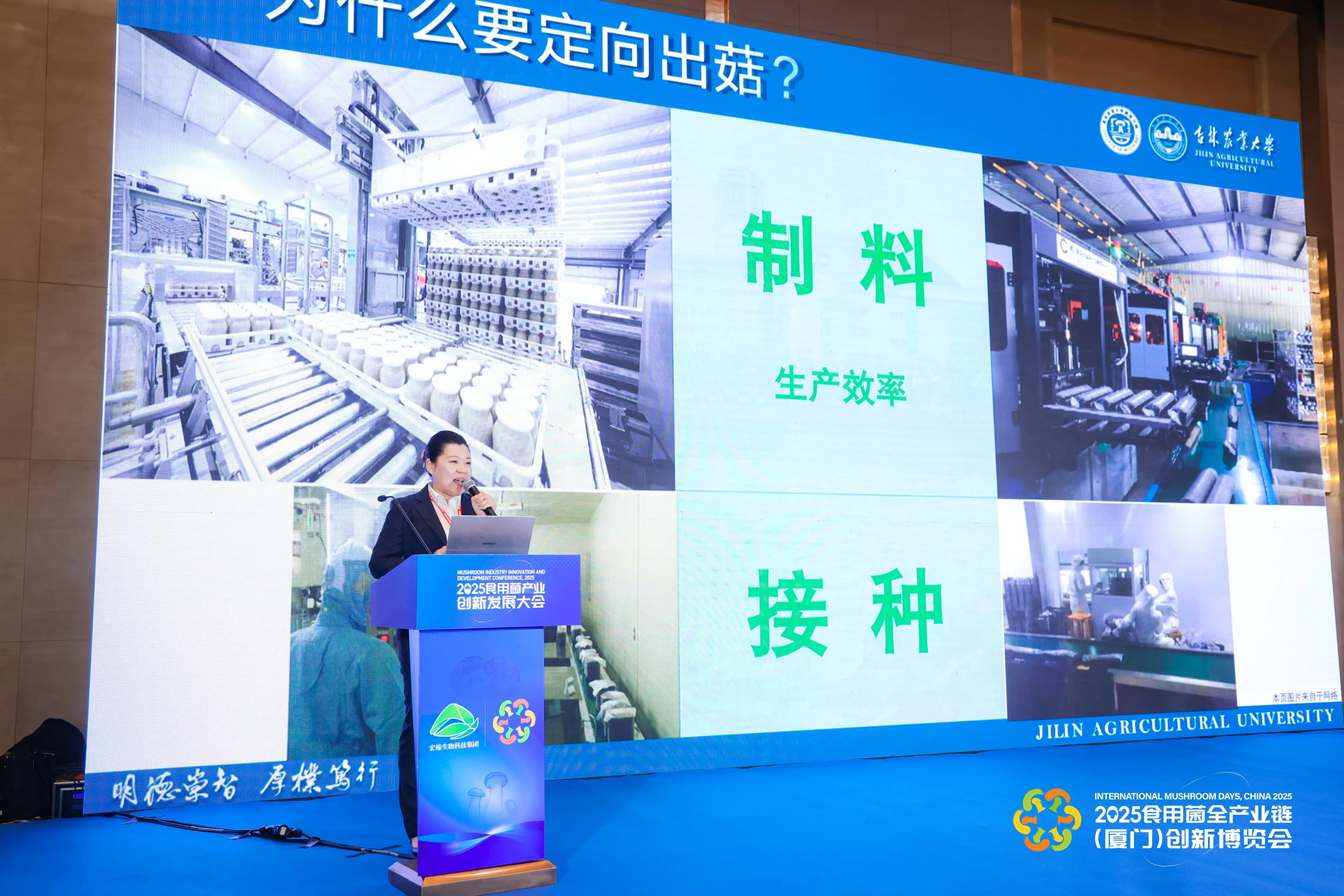 LHAO1045-min-min.webp