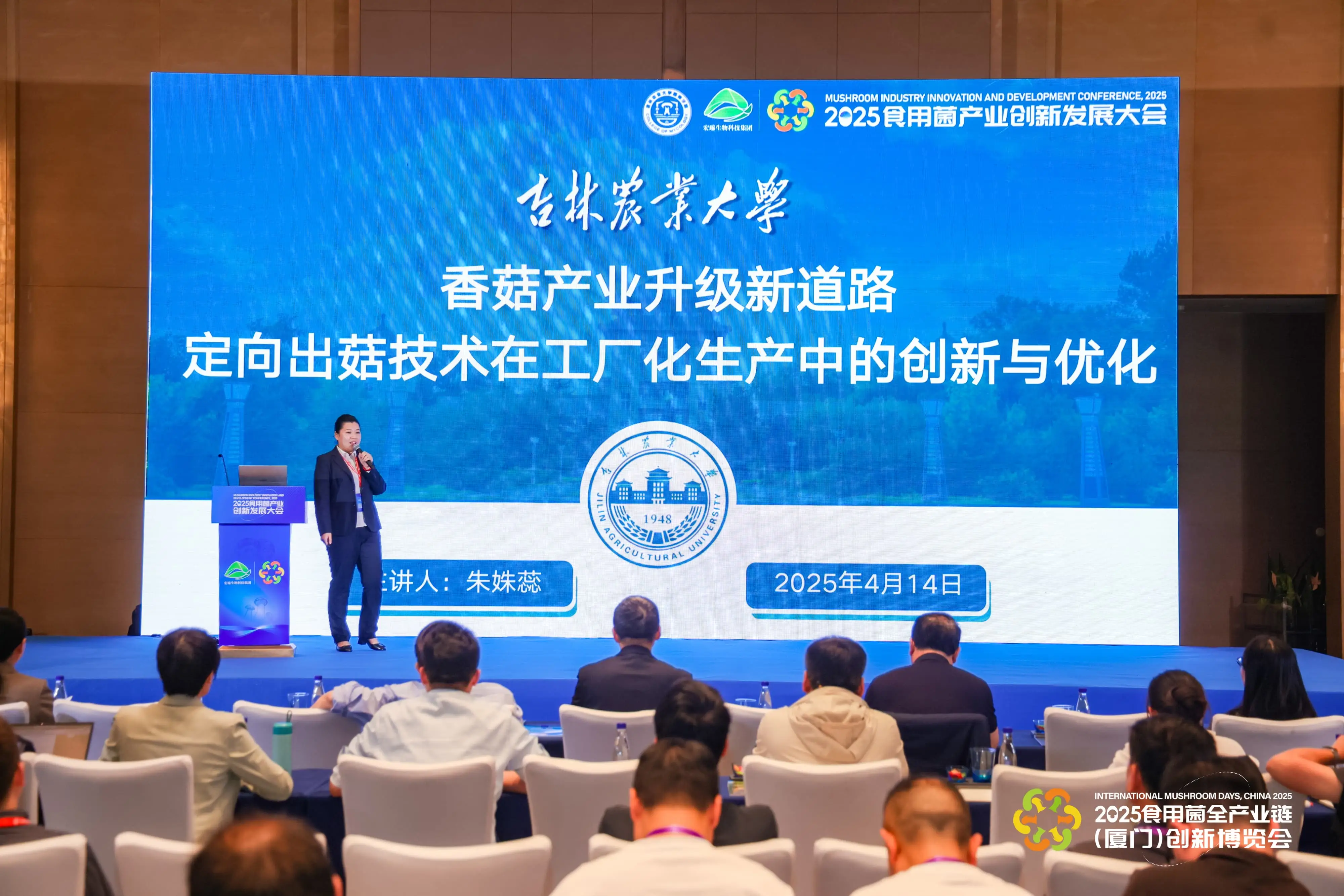 LHAO1031-min-min.webp