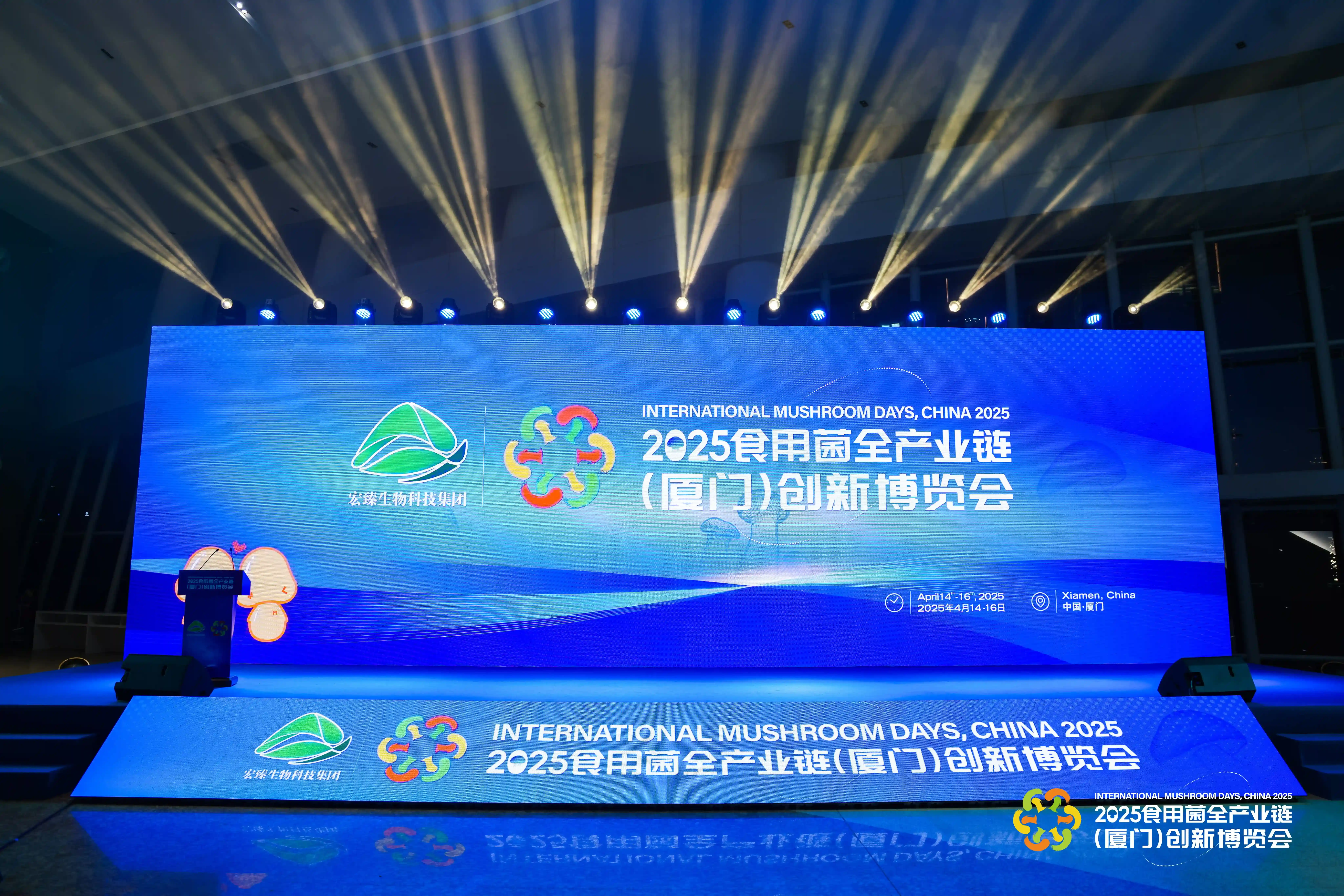 LHAO9547-min-min.webp