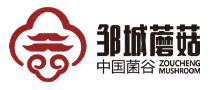 B3T07-邹城展团.webp
