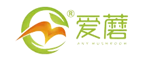B901-上海爱蘑网络科技有限公司.webp