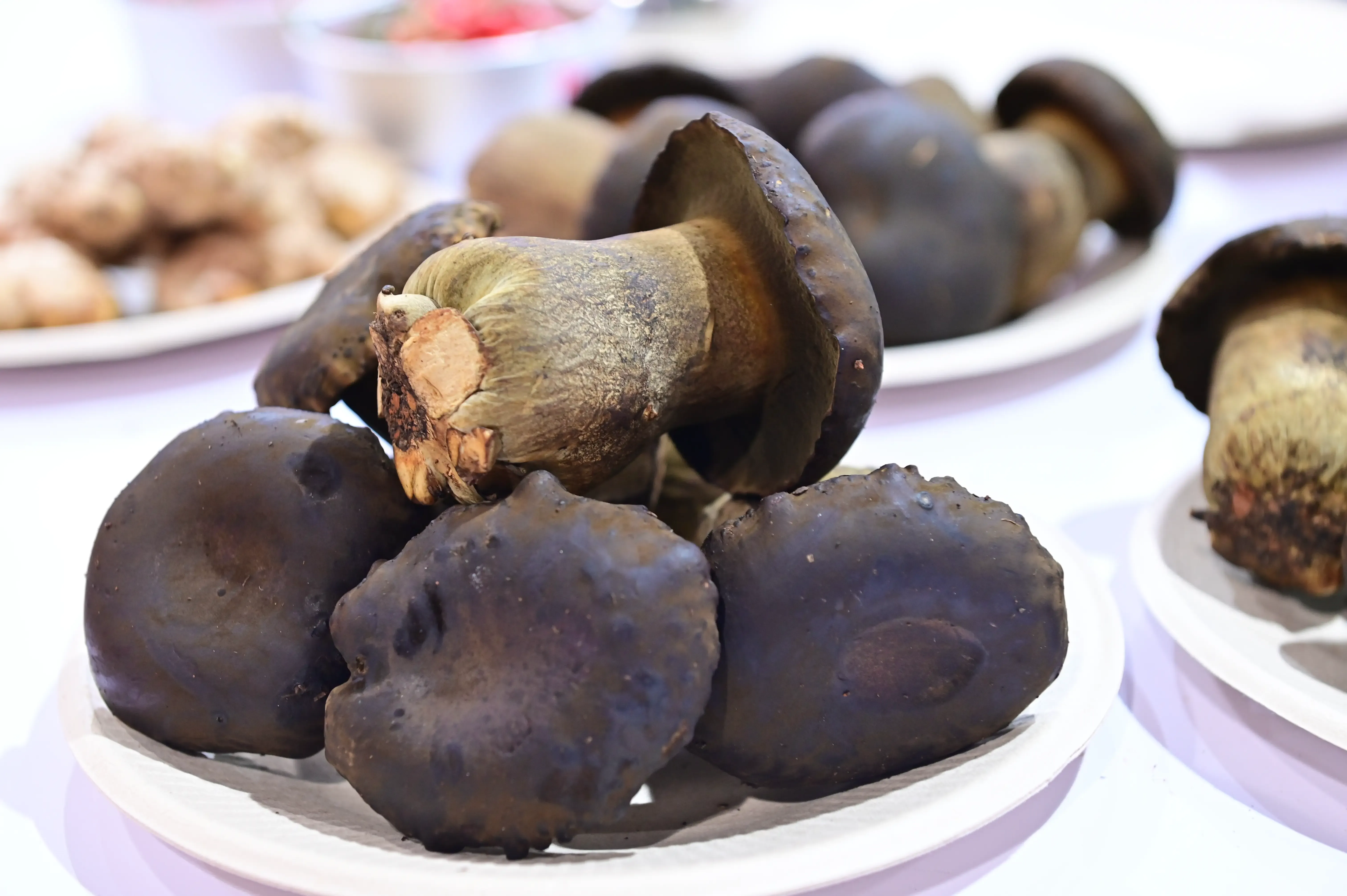 image_32.webp