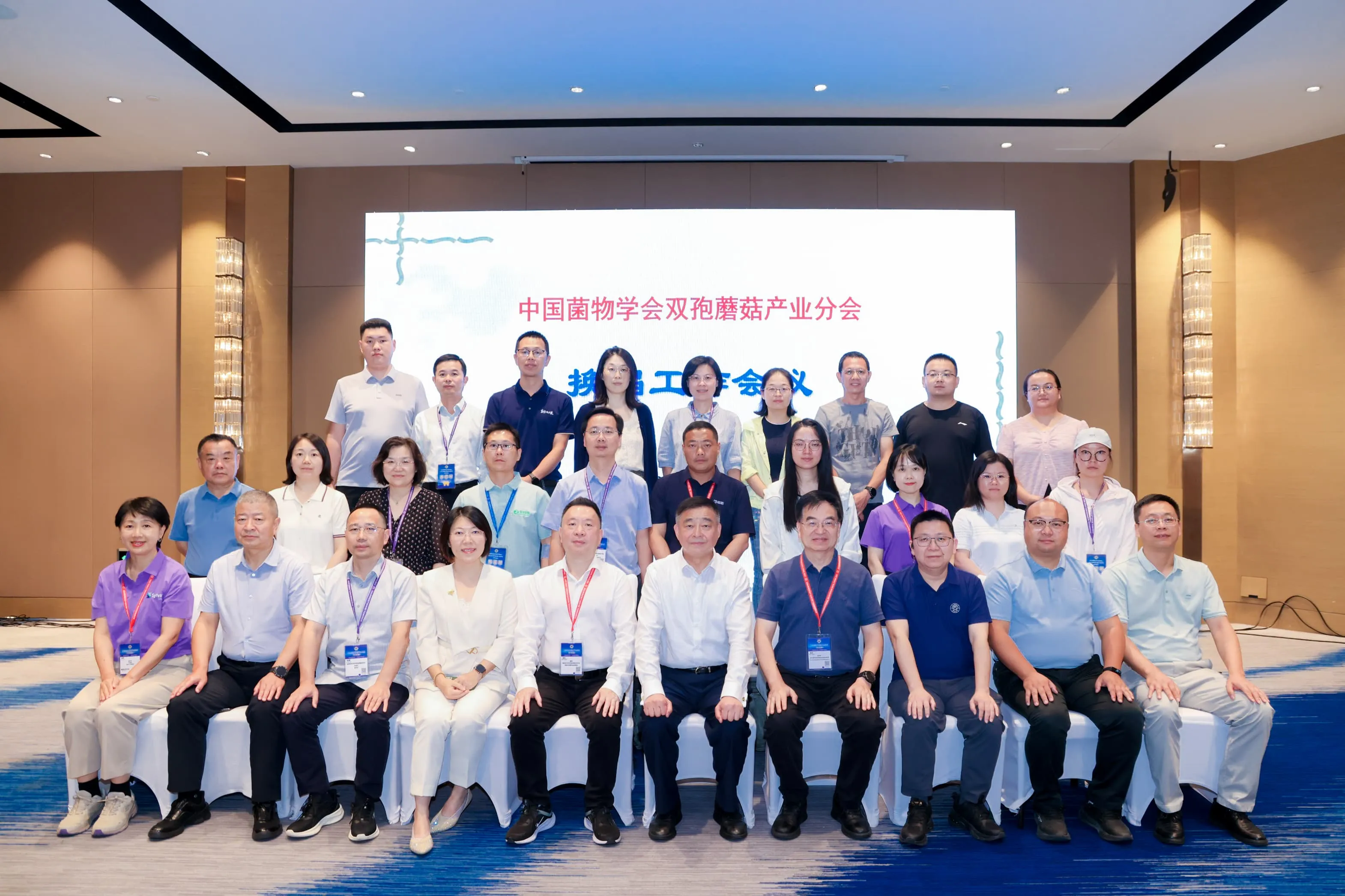 LHAO8355-min.webp
