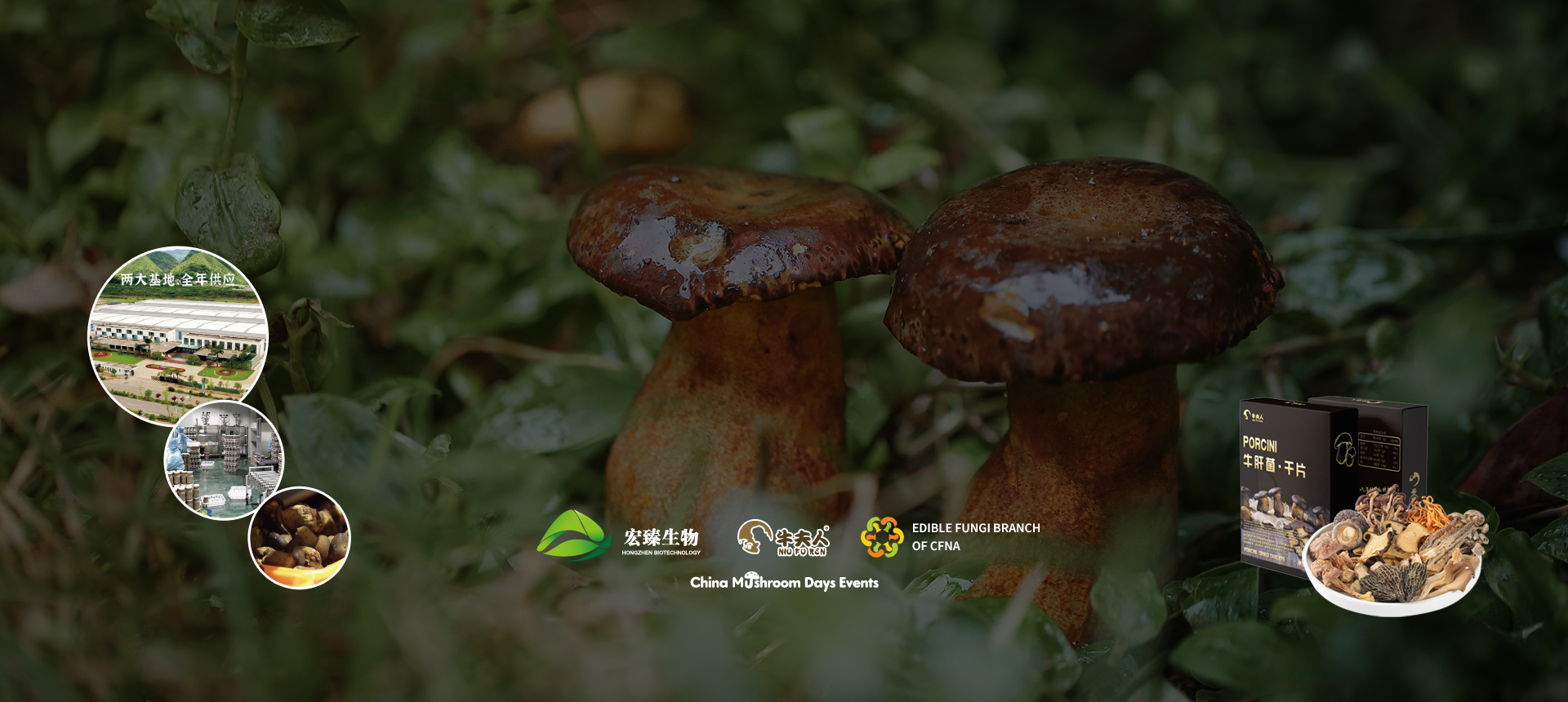 2025国际牛肝菌产业创新大会-03.jpg