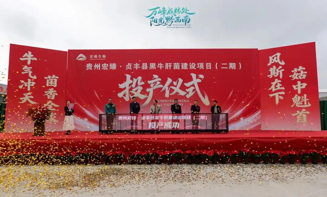 黔西南贞丰建成国内规模最大黑牛肝菌工厂化生产基地03.webp