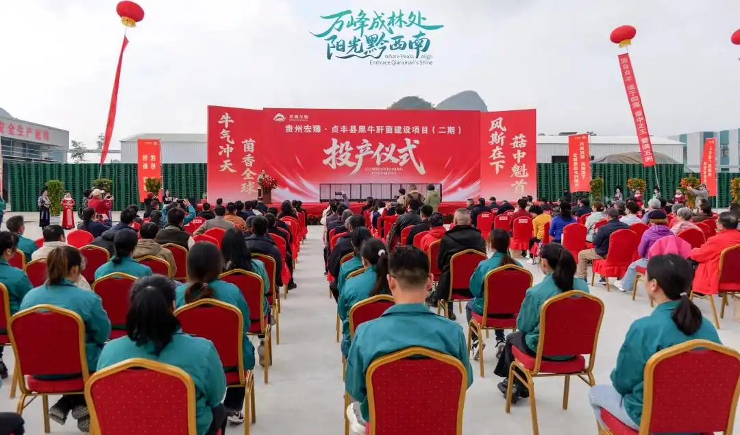 黔西南贞丰建成国内规模最大黑牛肝菌工厂化生产基地02.webp 