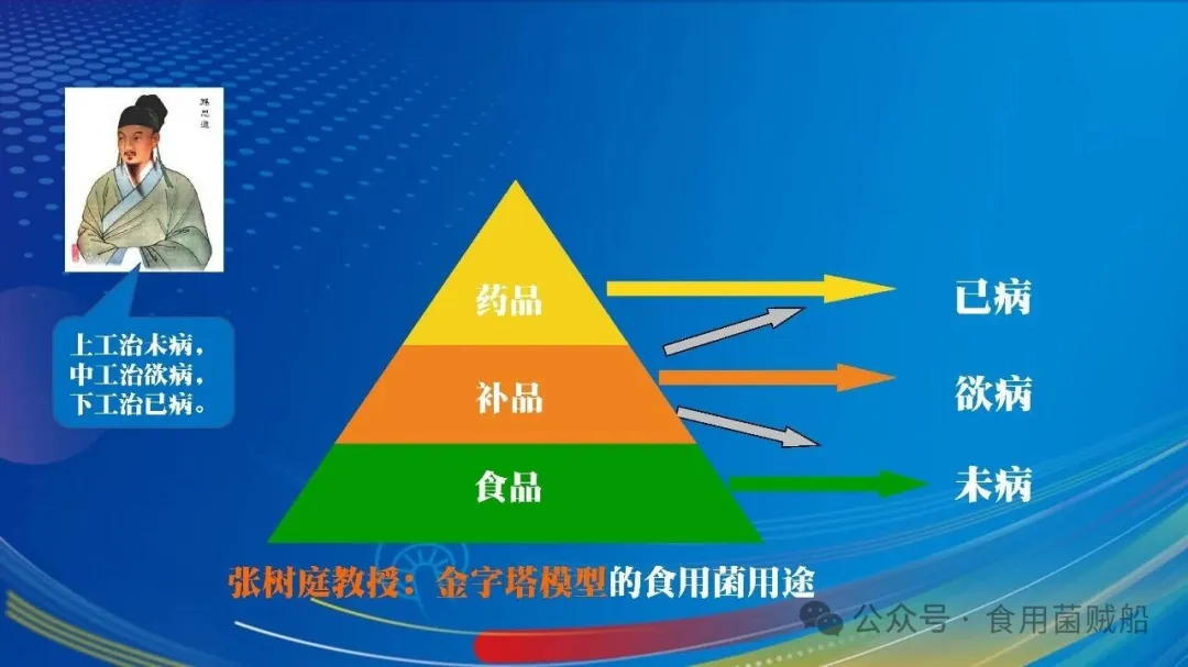 吉菌之道：根植白山黑水，洞见产业终局之魂-吉林食药用菌产业破局之路-06.webp 
