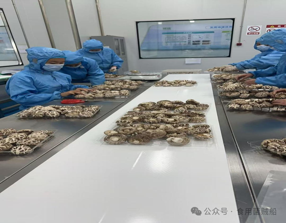十堰市昌欣香菇产业发展有限公司 产业标准化，品牌升级化&mdash;&mdash;打造国内食用菌产业新标杆-04.png 
