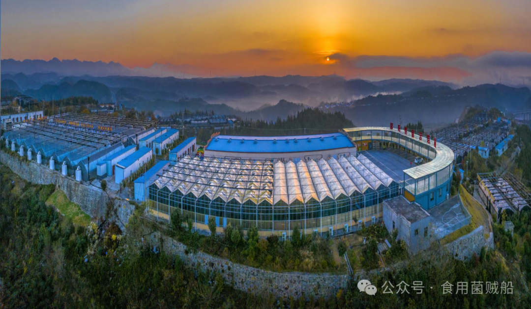 十堰市昌欣香菇产业发展有限公司 产业标准化，品牌升级化&mdash;&mdash;打造国内食用菌产业新标杆-07.png 