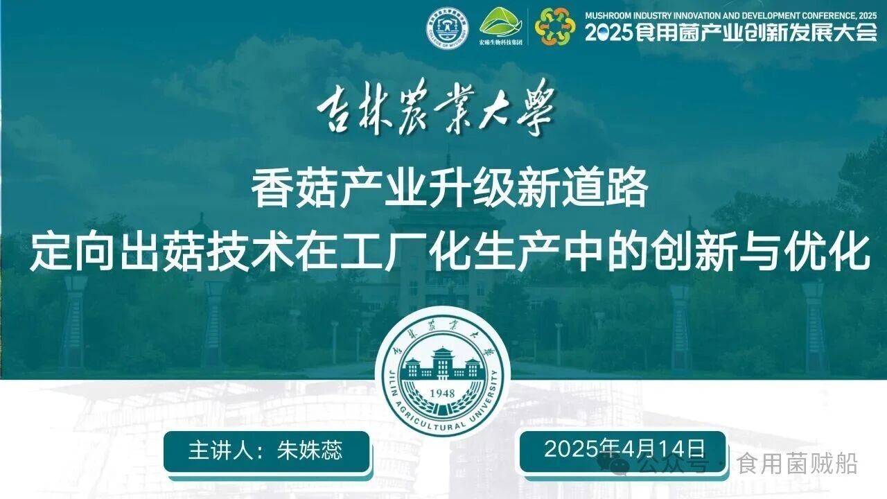 香菇产业升级新路径：定向出菇技术在工厂化生产中的创新与优化03.jpg 