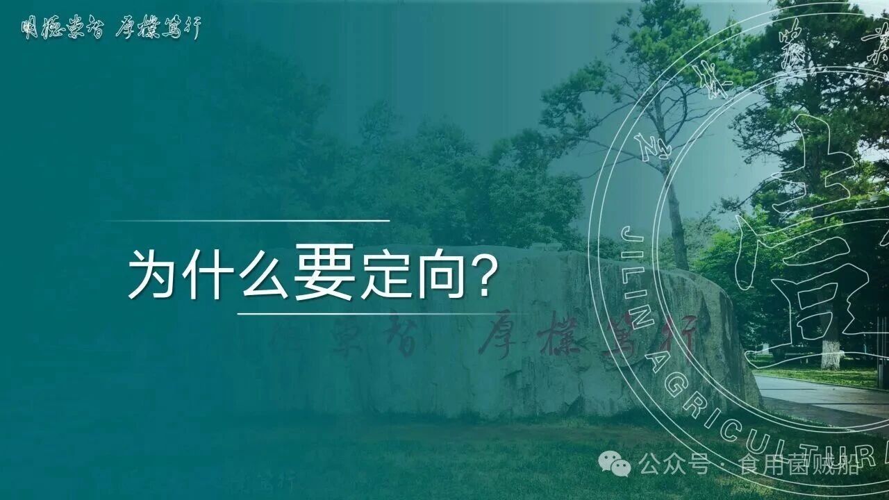 香菇产业升级新路径：定向出菇技术在工厂化生产中的创新与优化04.jpg 