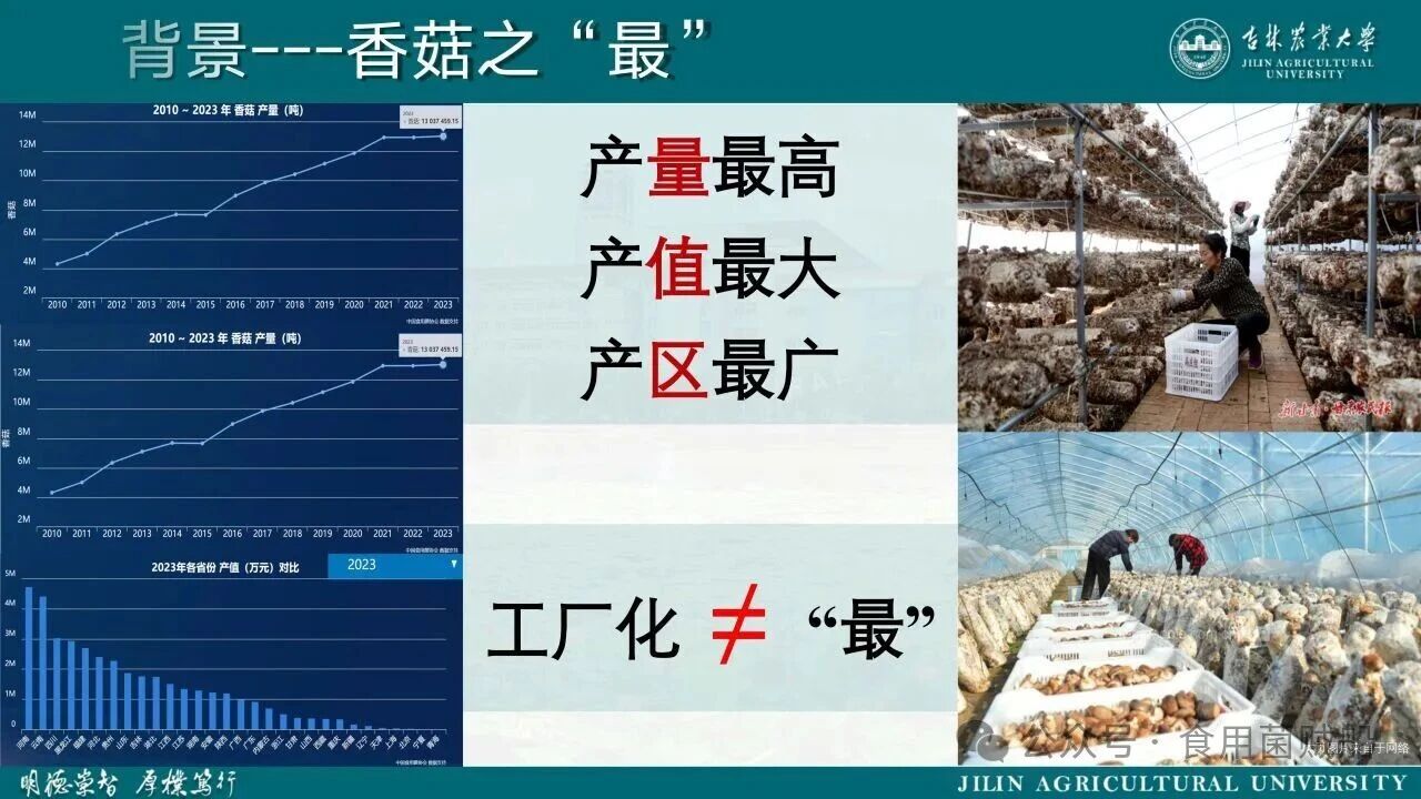 香菇产业升级新路径：定向出菇技术在工厂化生产中的创新与优化05.jpg 