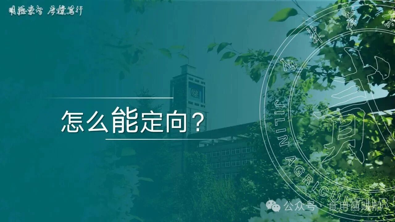 香菇产业升级新路径：定向出菇技术在工厂化生产中的创新与优化09.jpg 