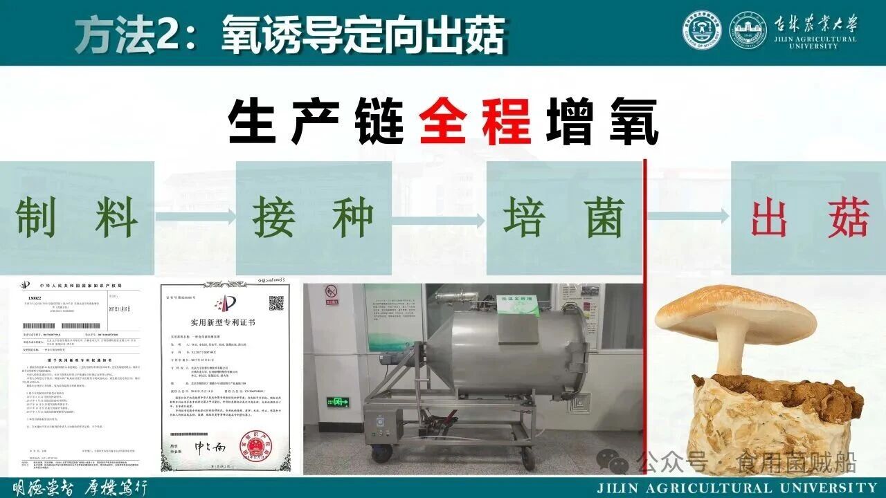 香菇产业升级新路径：定向出菇技术在工厂化生产中的创新与优化16.jpg 